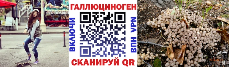 купить закладку Суоярви Псилоцибиновые грибы Cubensis