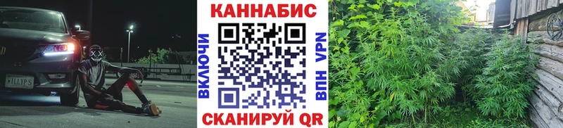 Бошки Шишки MAZAR Суоярви